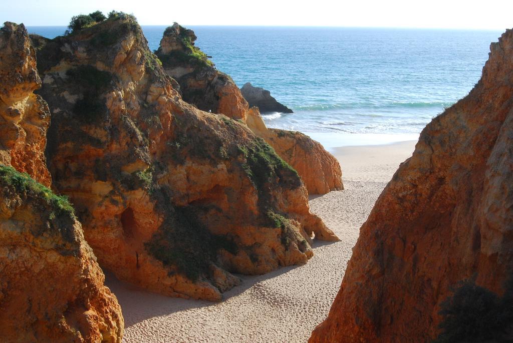 The Birds Nest Villa Alvor Cameră foto