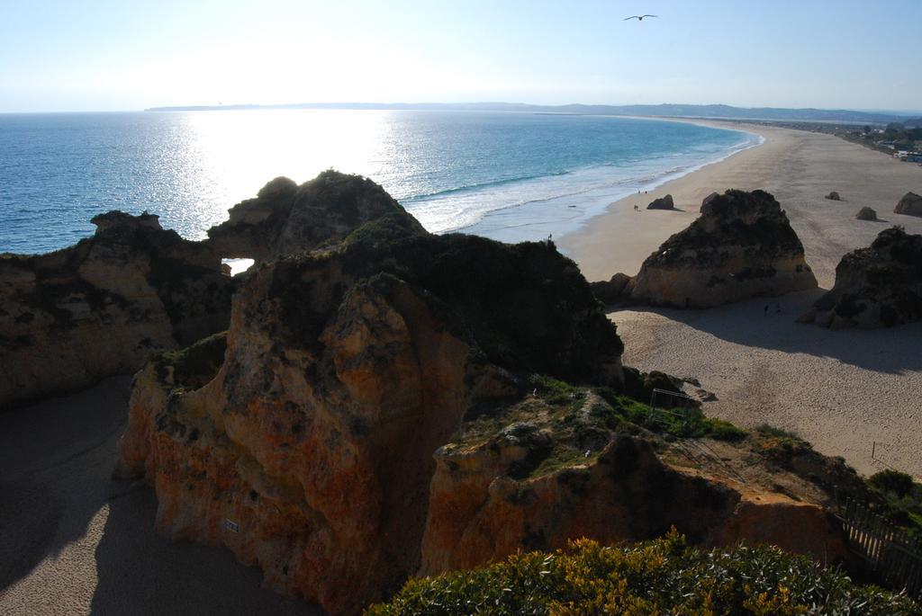 The Birds Nest Villa Alvor Cameră foto